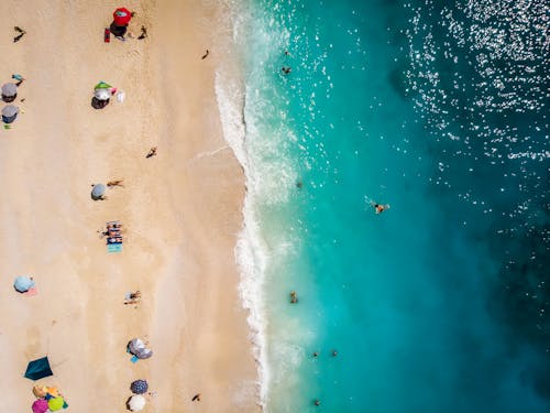 Free People Having Fun on the Beach Stock Photo