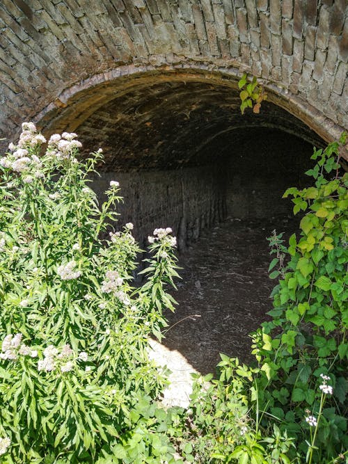Бесплатное стоковое фото с groeve, туннель