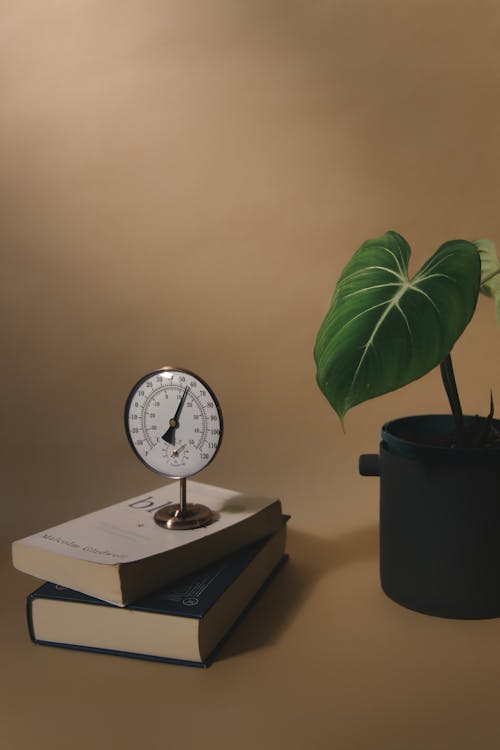 Potted Plant with Barometer on Books 