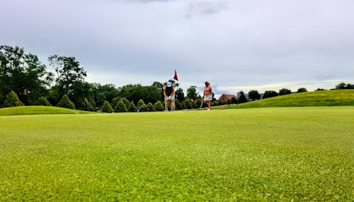 Základová fotografie zdarma na téma golf, golfisté, golfové hřiště