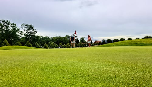 Imagine de stoc gratuită din arbori, câmp de iarbă, club de golf