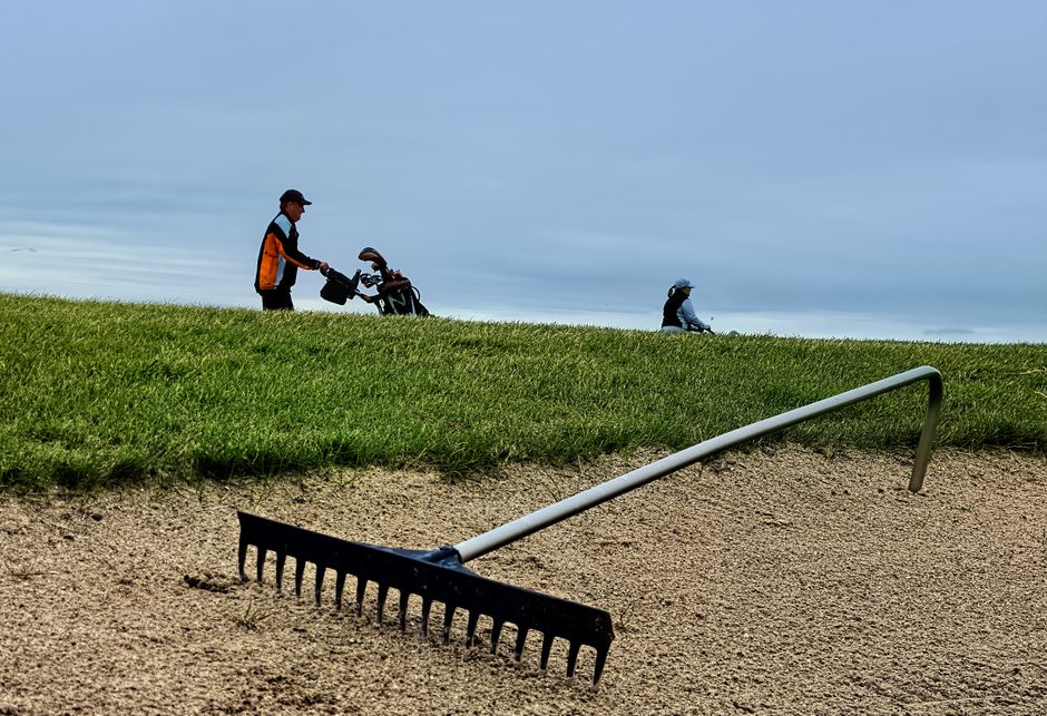 Dethatching vs power raking cost and necessity — cover media