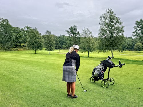 Imagine de stoc gratuită din arbori, cluburi de golf, femeie