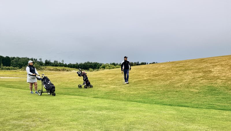 Two golfers with trolleys walking a fairway at a Swedish golf club on a bright summer morning, with mature trees lining the course.