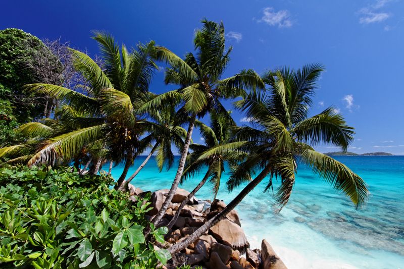 Anse Georgette & the Beaches