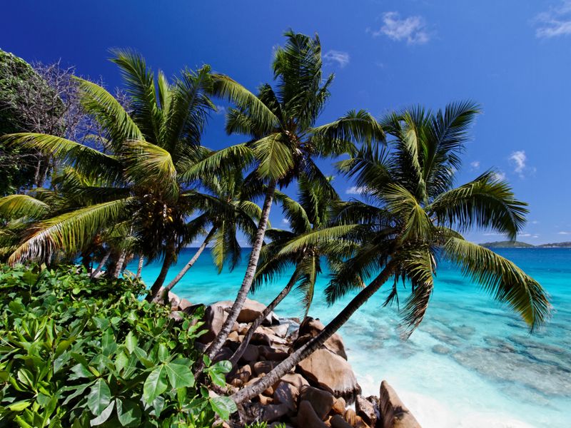 Fiscalité aux Seychelles : impôts, résidence et points clés