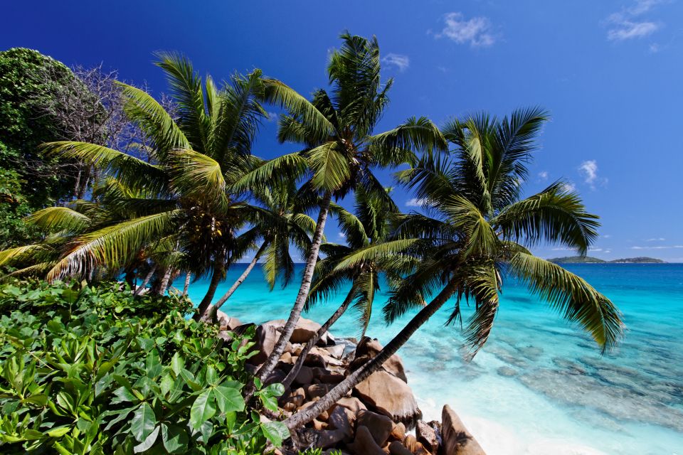 auf den Seychellen