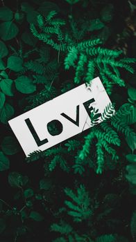 A white 'Love' sign among vibrant green fern leaves creating a natural and heartfelt atmosphere.