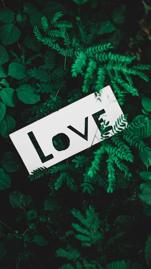 Free A white 'Love' sign among vibrant green fern leaves creating a natural and heartfelt atmosphere. Stock Photo