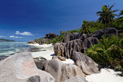 Rock Formations on Seashore Under Blue Sky