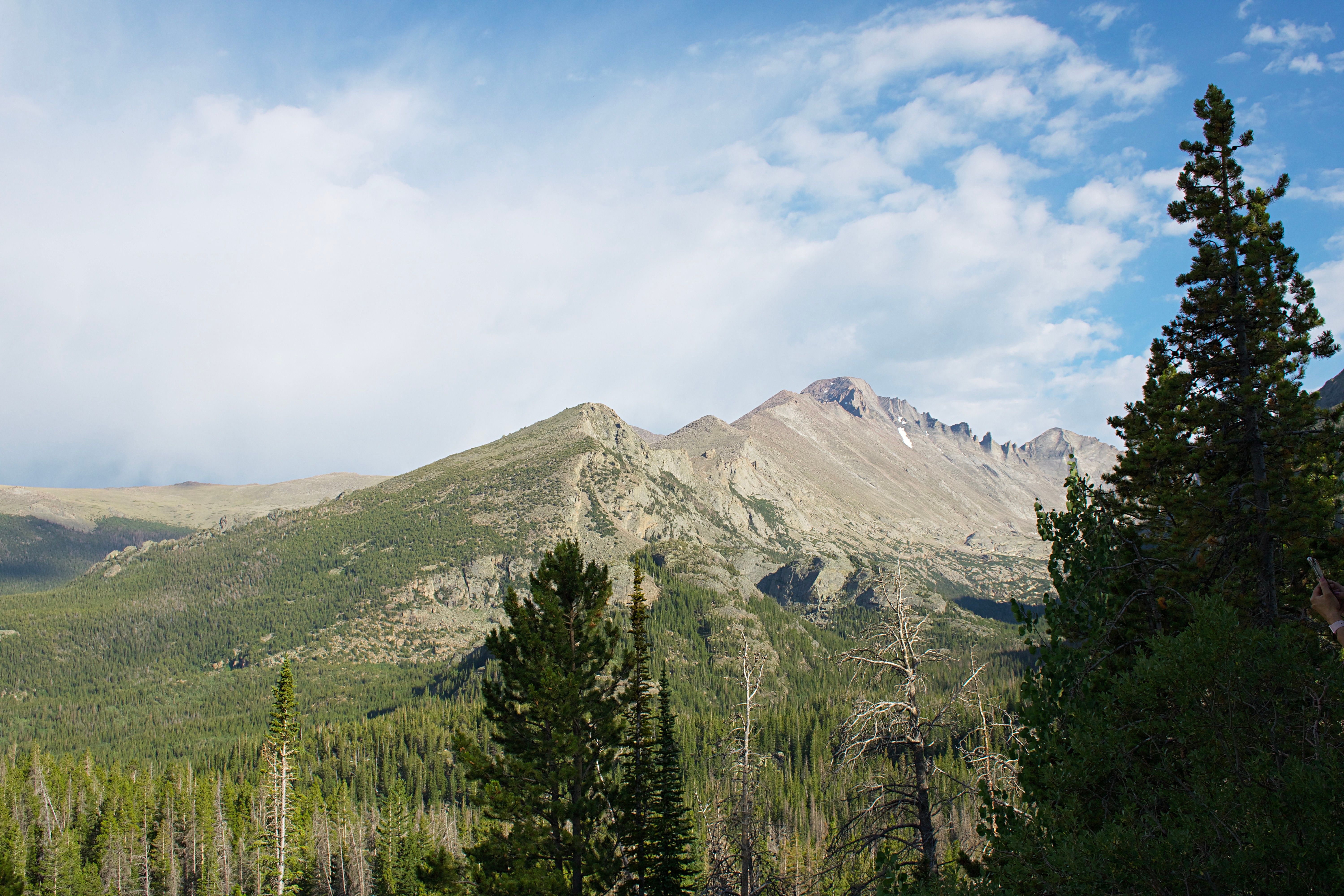 Green Pine Trees Near Mountain Under White Clouds · Free Stock Photo