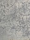 Cracked Wall in Close Up
