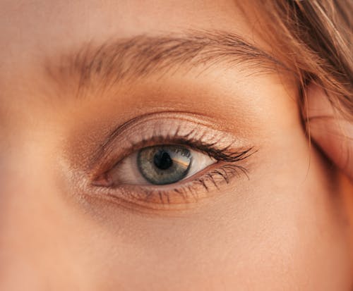 Womans Brown Eyes in Close Up Photography