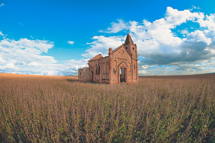 Rural Field With Abandoned Church In Sunlight