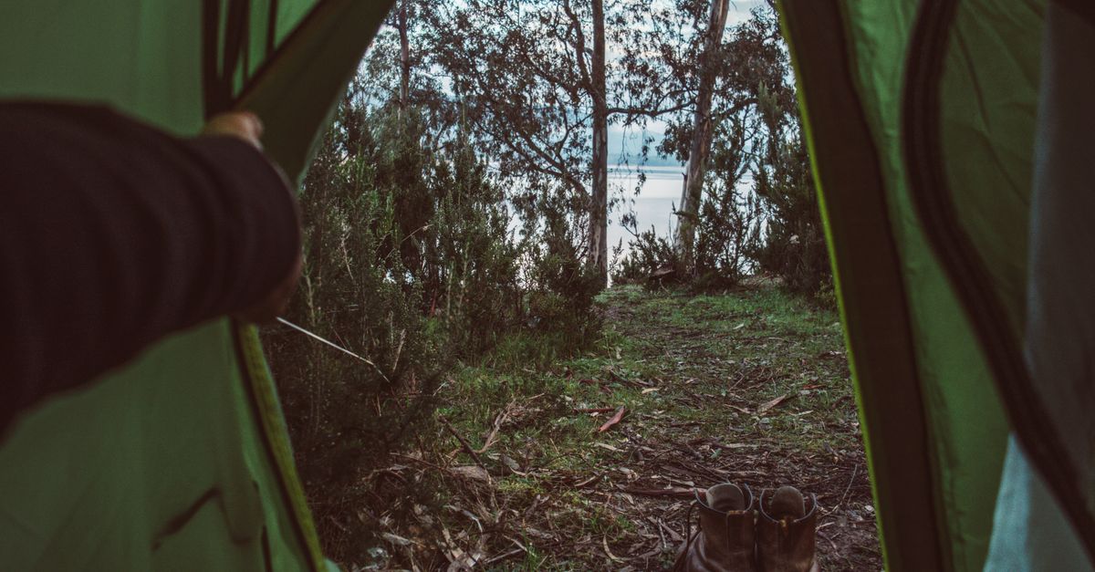 Portugal Camping-Car : Guide Complet Road Trip 2026
