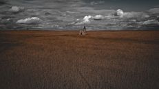 Aerial view of distant classic stone castle in dry field under cloudy sky