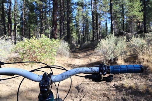 Free stock photo of forest, mountain biking, mountainbike