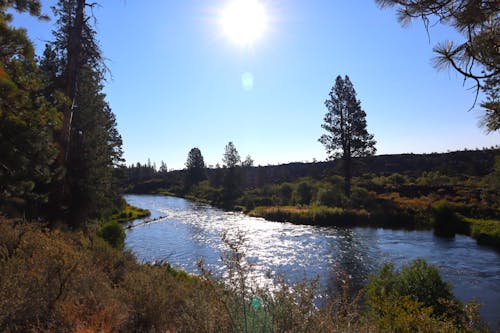 Free stock photo of river, sun, wilderness