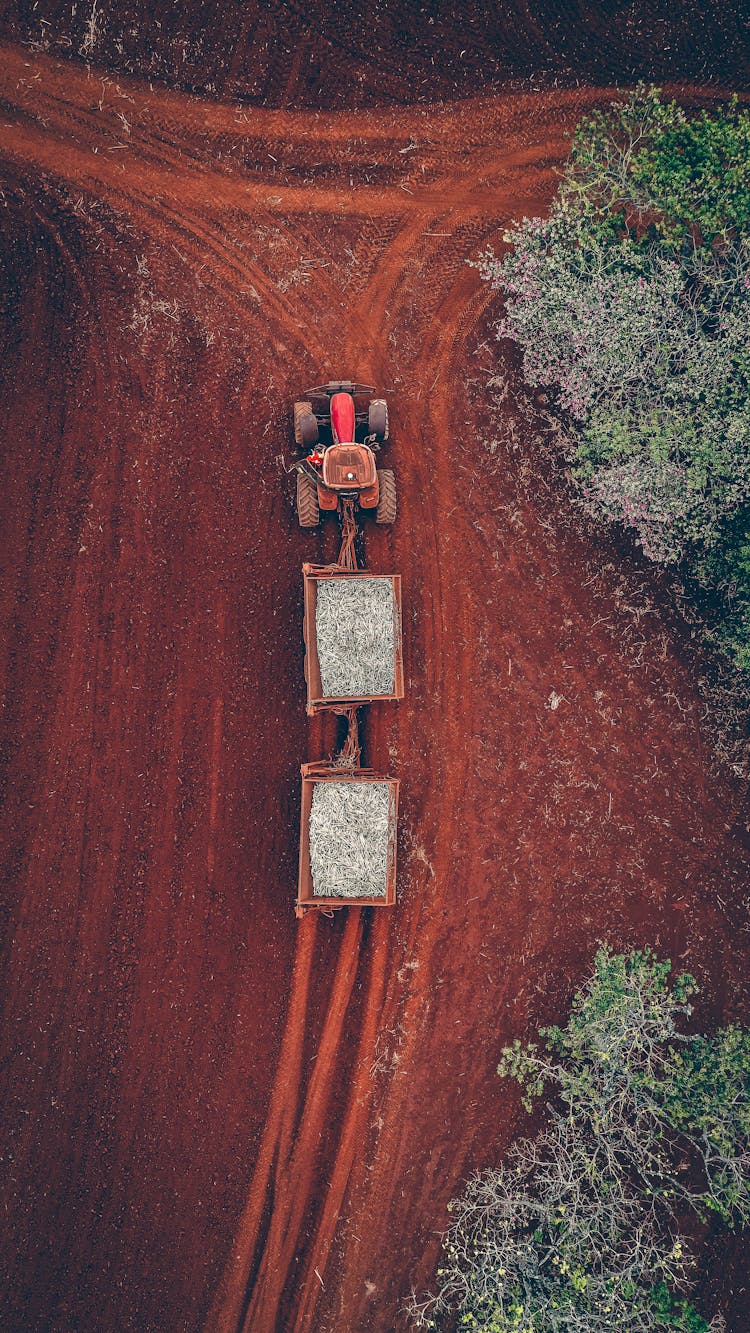 Tractor With Trailers On Shabby Terrain In Countryside