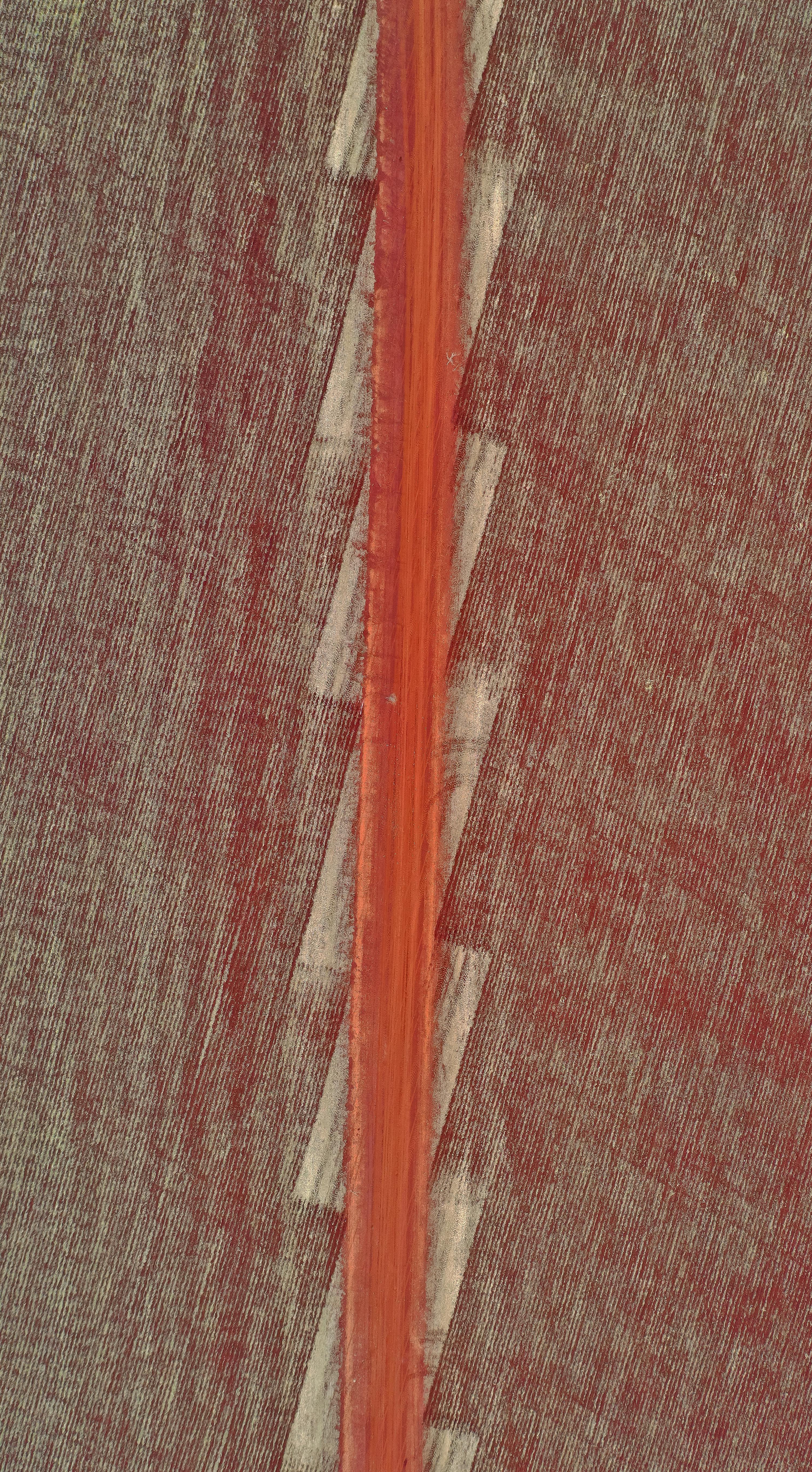 Photo by sergio  souza