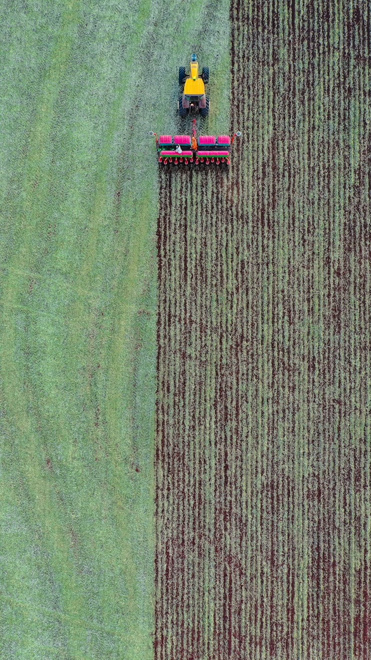 Combine Harvesting Crop On Verdant Field