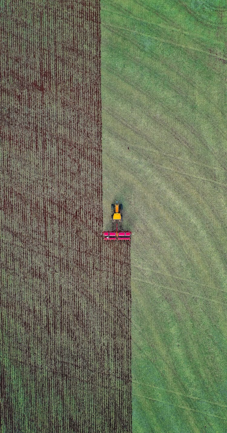 Combine Harvester Working In Agricultural Field