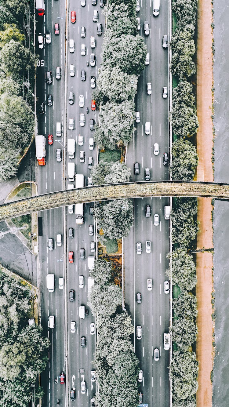 Cars Driving On Asphalt Road Along Trees