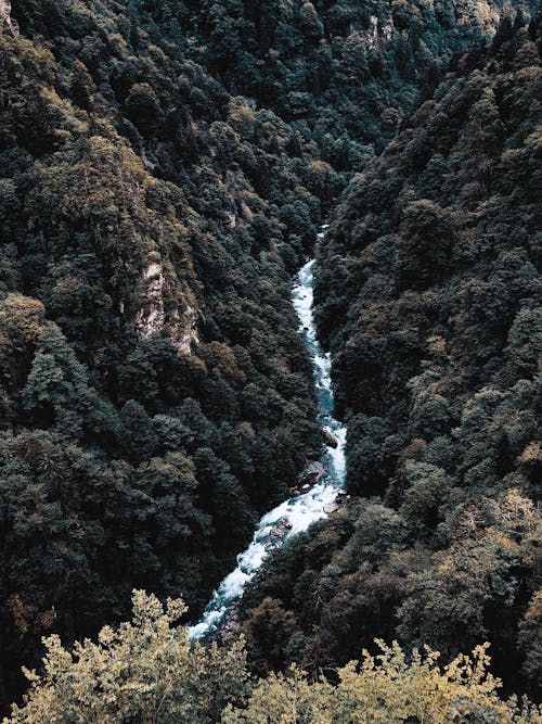 Birds Eye View of the Firtina River