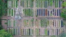 Drone view of enclosed ground areas with green trees and bushes located in city district in daytime