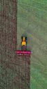Aerial view of combine harvesting ripe wheat in agricultural plantation in farm in countryside