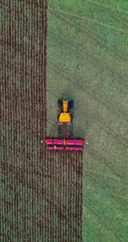 Aerial view of combine harvesting ripe wheat in agricultural plantation in farm in countryside