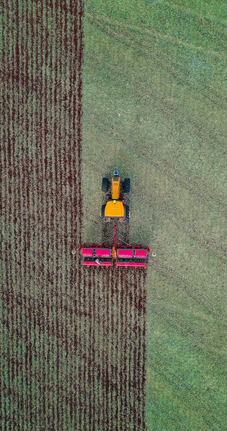 Combine Harvester Working In Agricultural Field