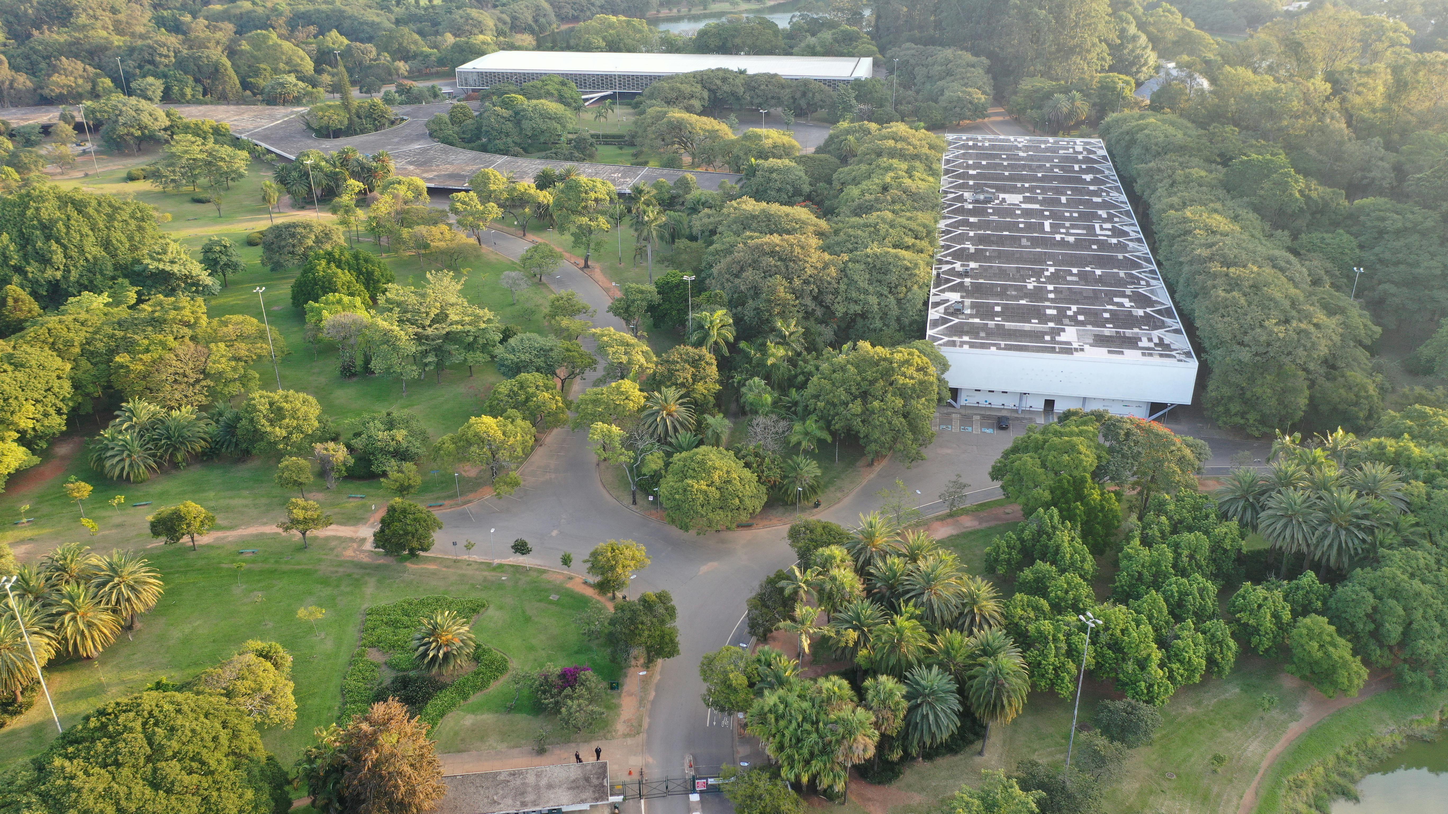 What are 3 ways to develop a growth mindset?