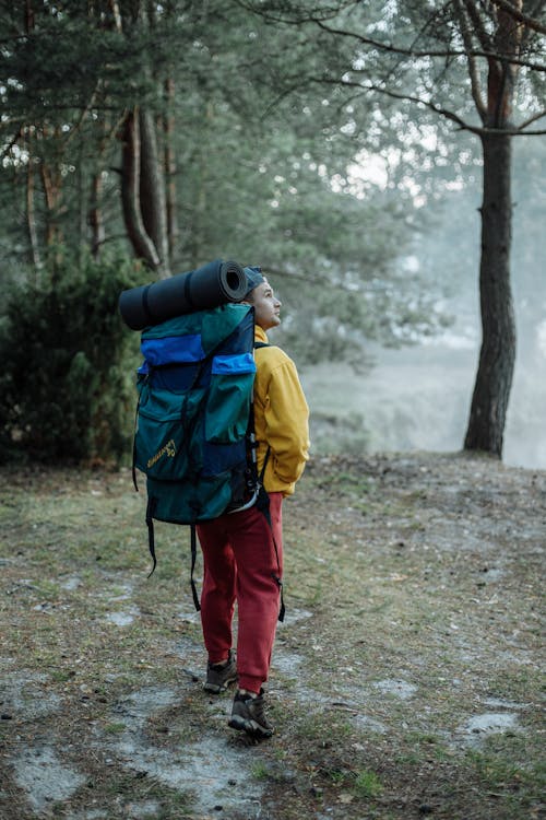 A Person with Backpack Wearing Red Pants Walking in the Forest