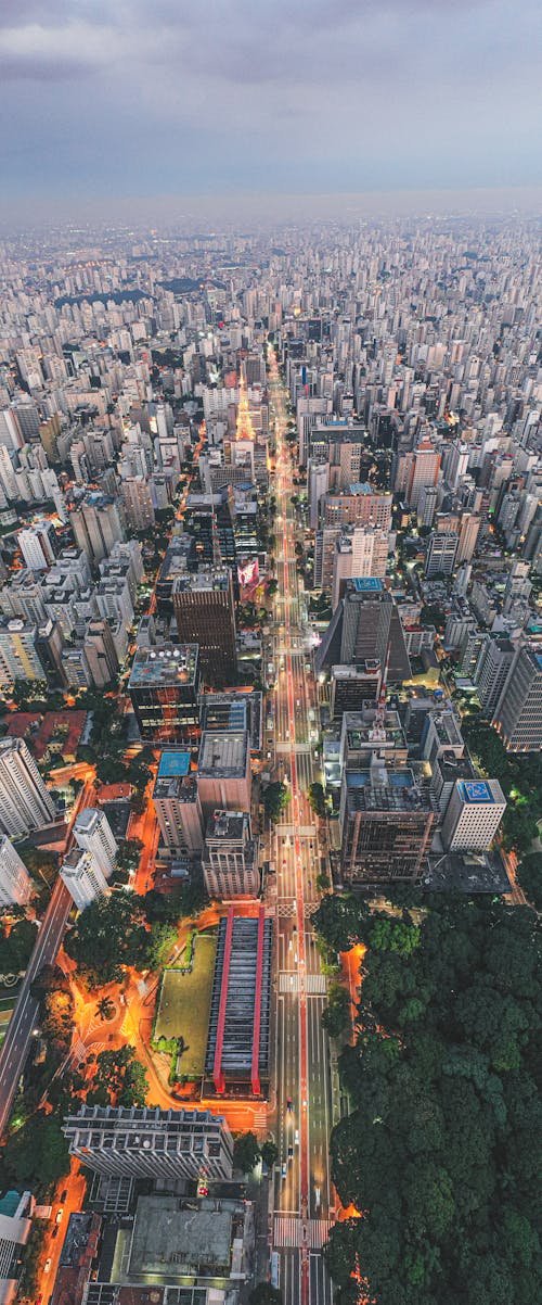 Free Cityscape of megapolis with skyscrapers and streetlights Stock Photo