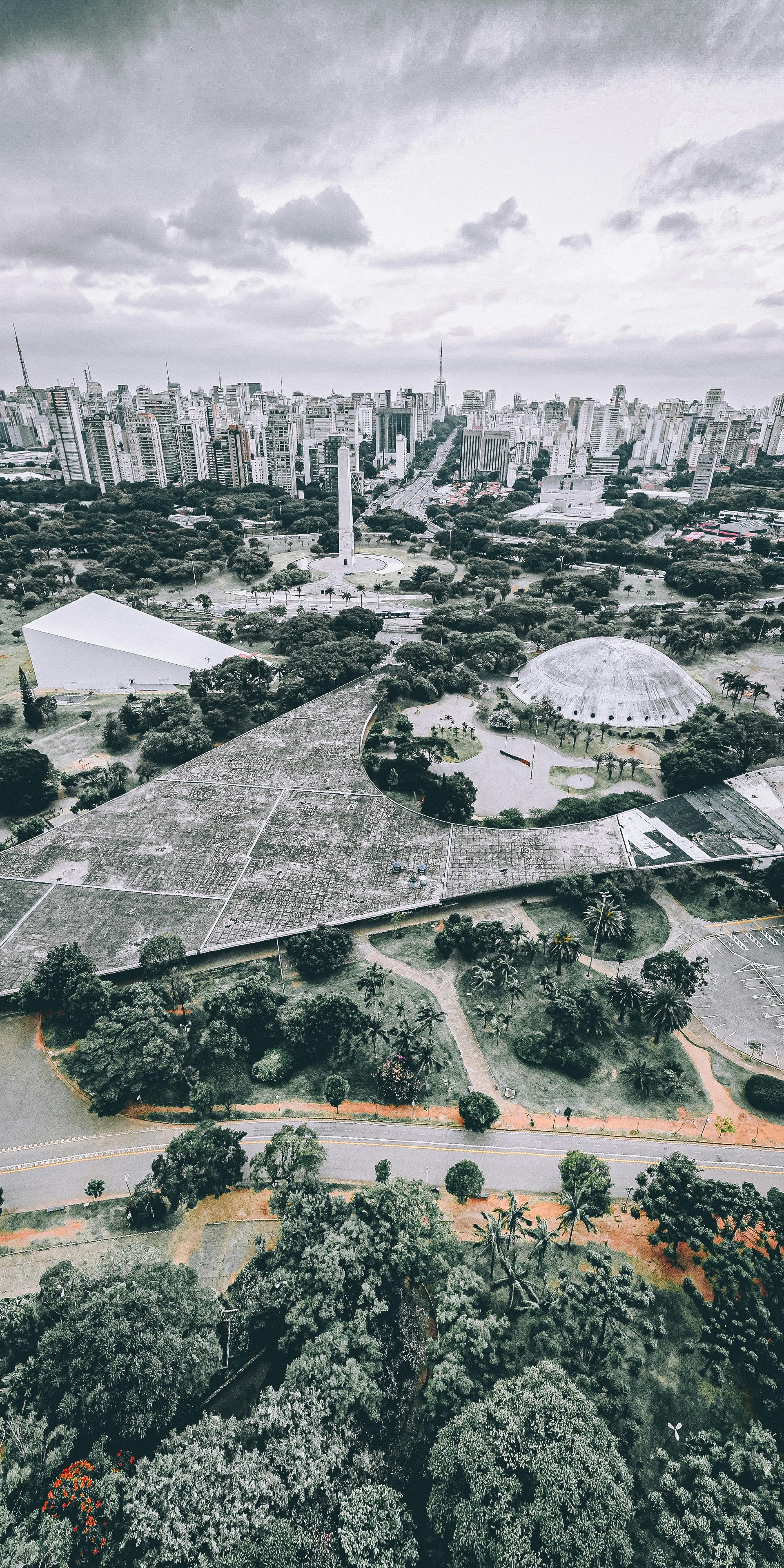 What wood are garden sheds made from?