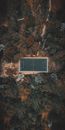 Aerial view of green football field with white lines near green trees in woods and plants growing between pathway in summer day in countryside