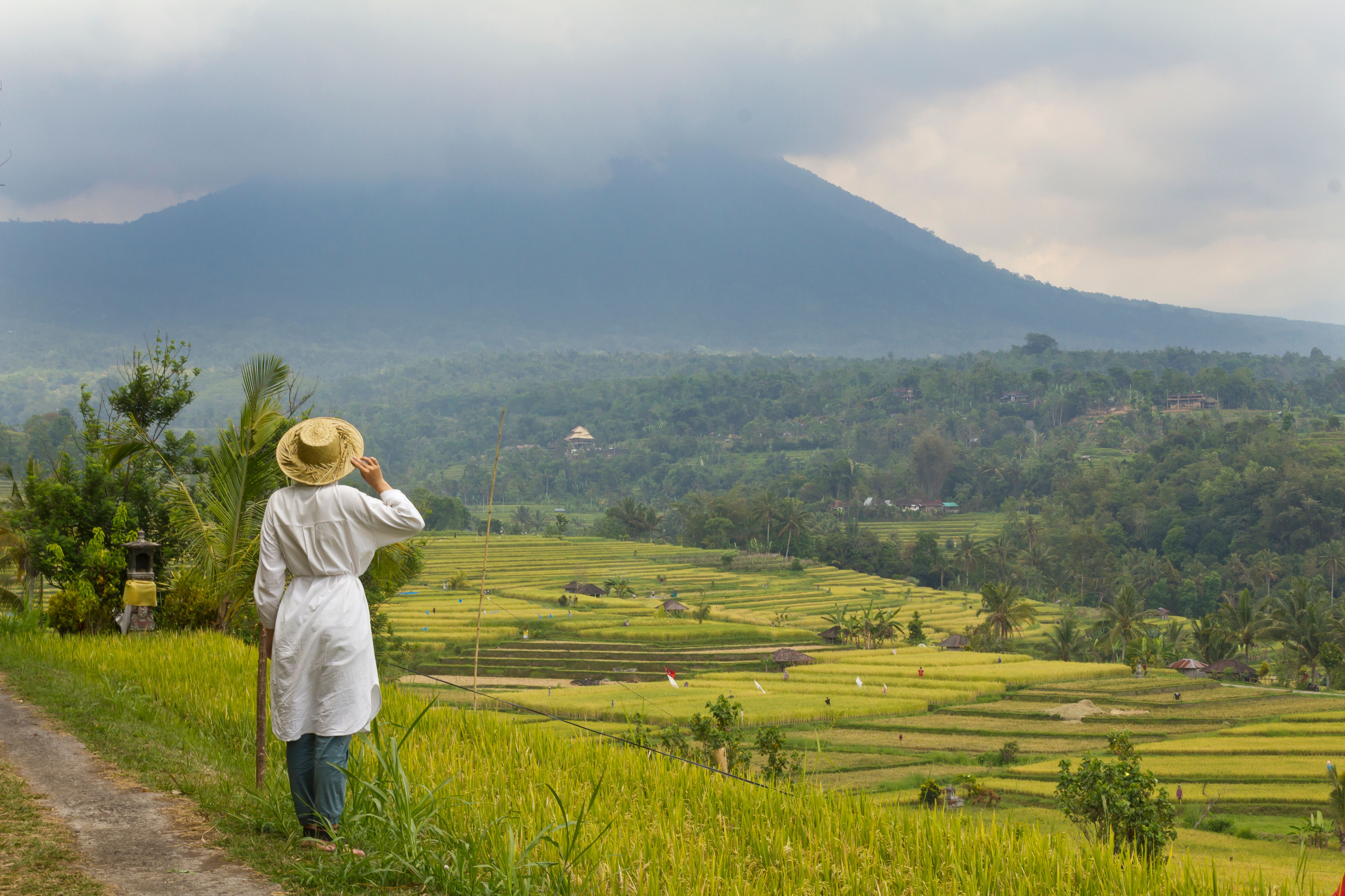 Person exploring lush rice terraces in Indonesia with a mountain backdrop under a cloudy sky.
