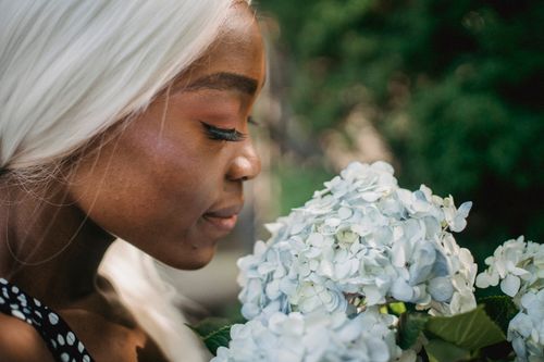 Free African American woman with white hair smelling hydrangea flowers outdoors. Stock Photo