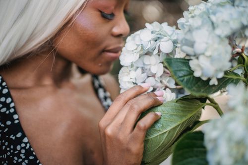 Free An adult woman with dyed hair gently touching and smelling hydrangea flowers outdoors. Stock Photo