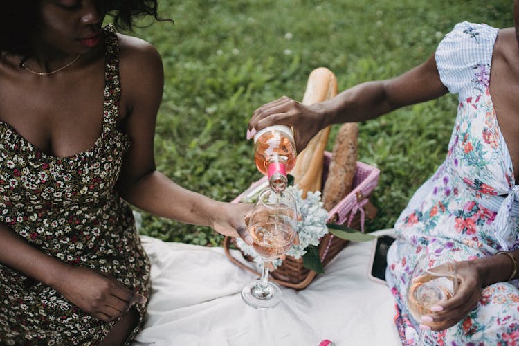 Women Drinking Wine On Picnic