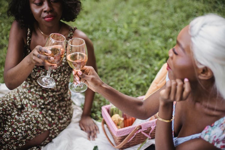 Women Cheers On Park Picnic