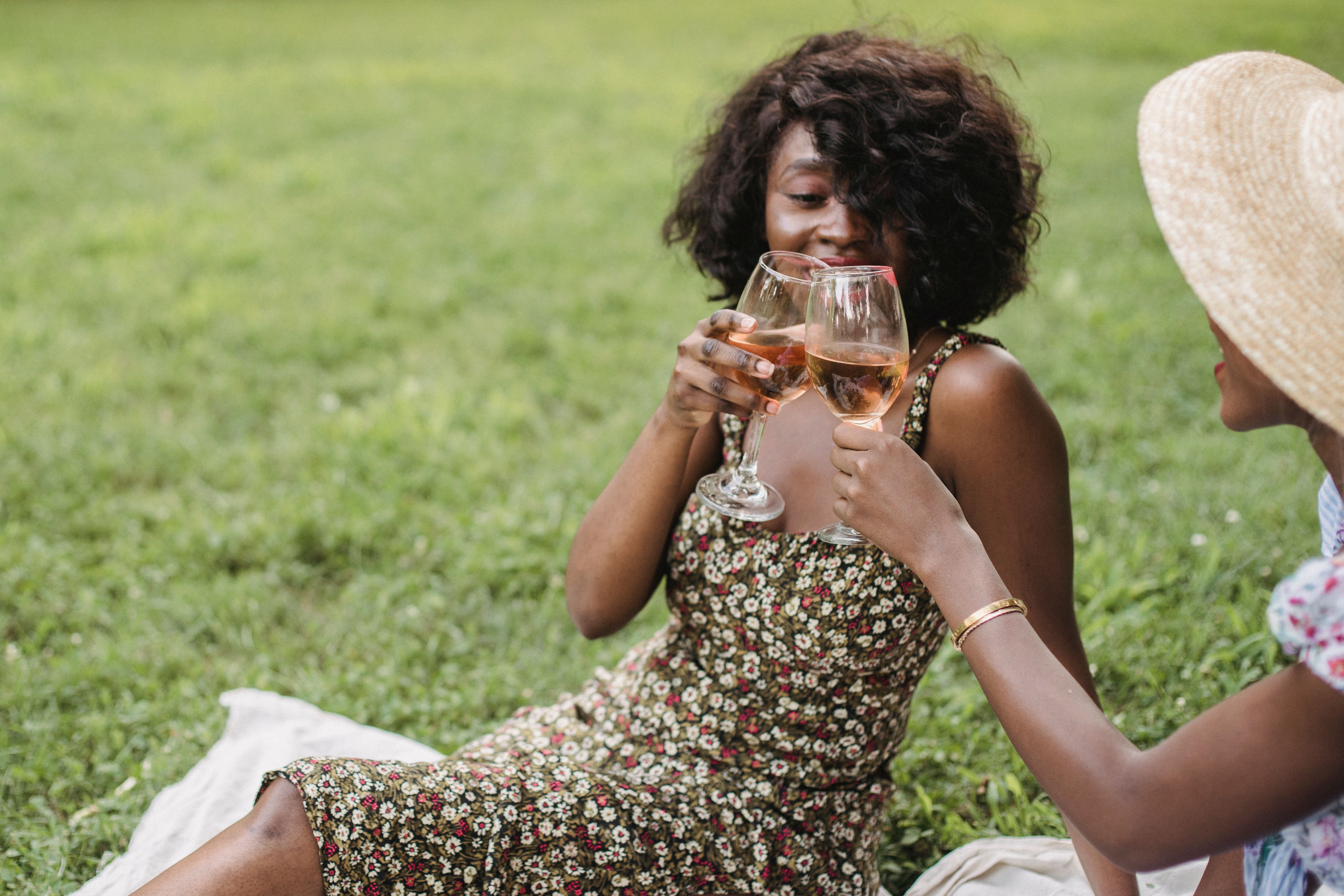 Women Holding Wine Glass Making a Toast · Free Stock Photo