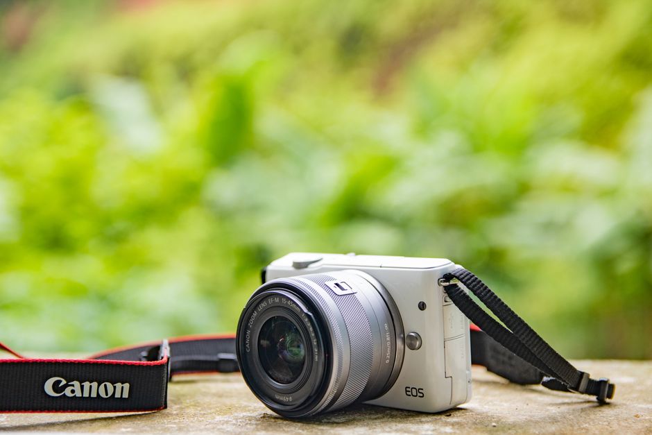 Fotografo segurando camera mirrorless compacta com objetiva pequena em ambiente externo de floresta