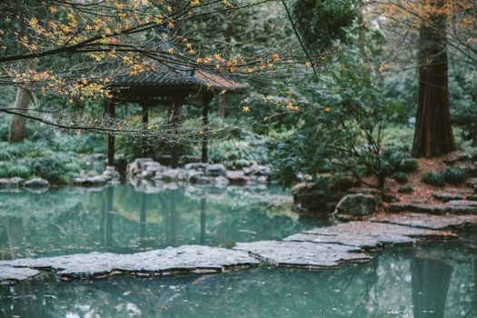 Wooden pathway on green pond in park