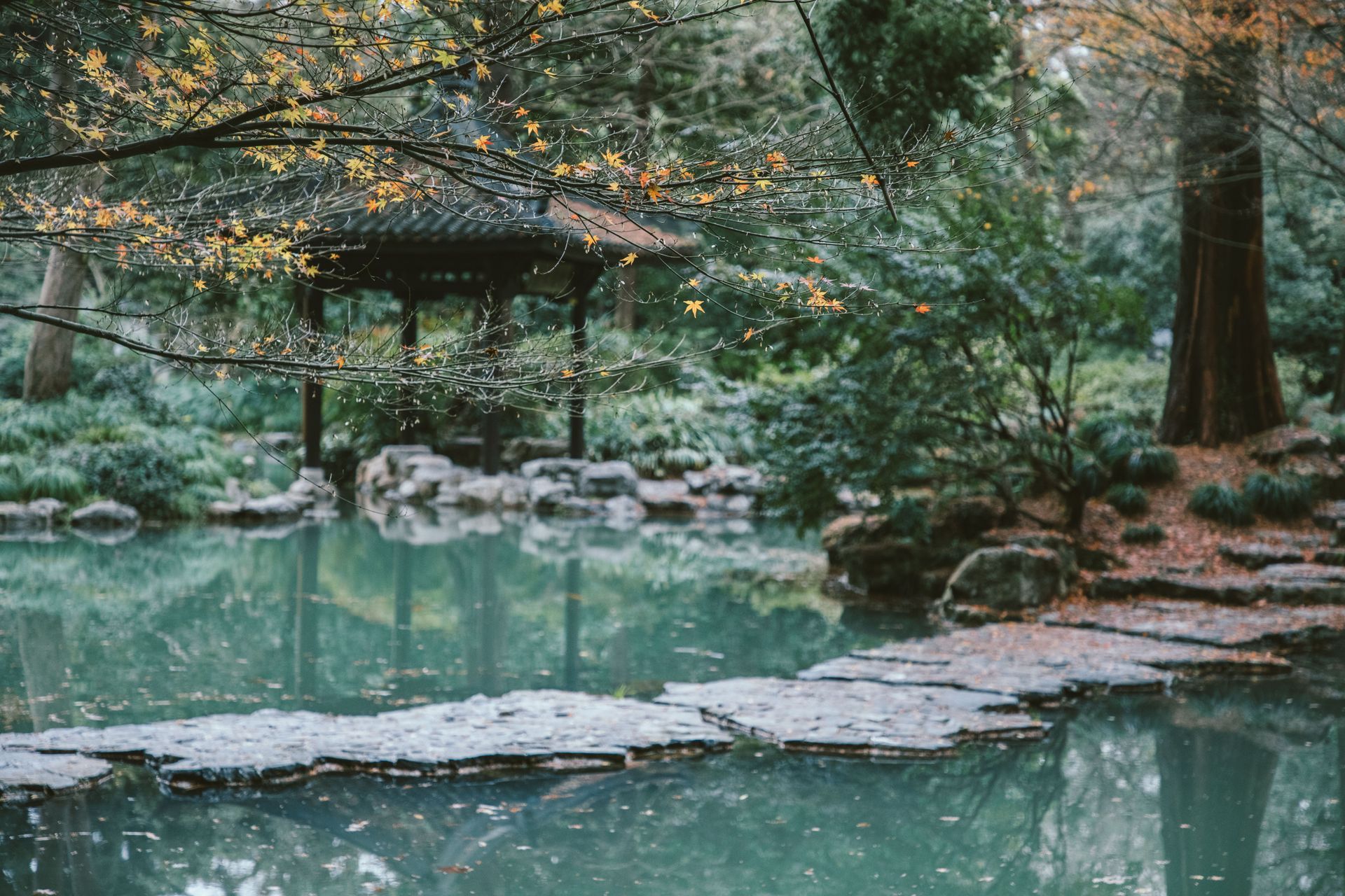 Serene Japanese garden scene featuring a pond and pavilion surrounded by lush greenery.