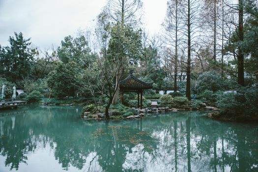 Green pond reflecting lush green trees under sky