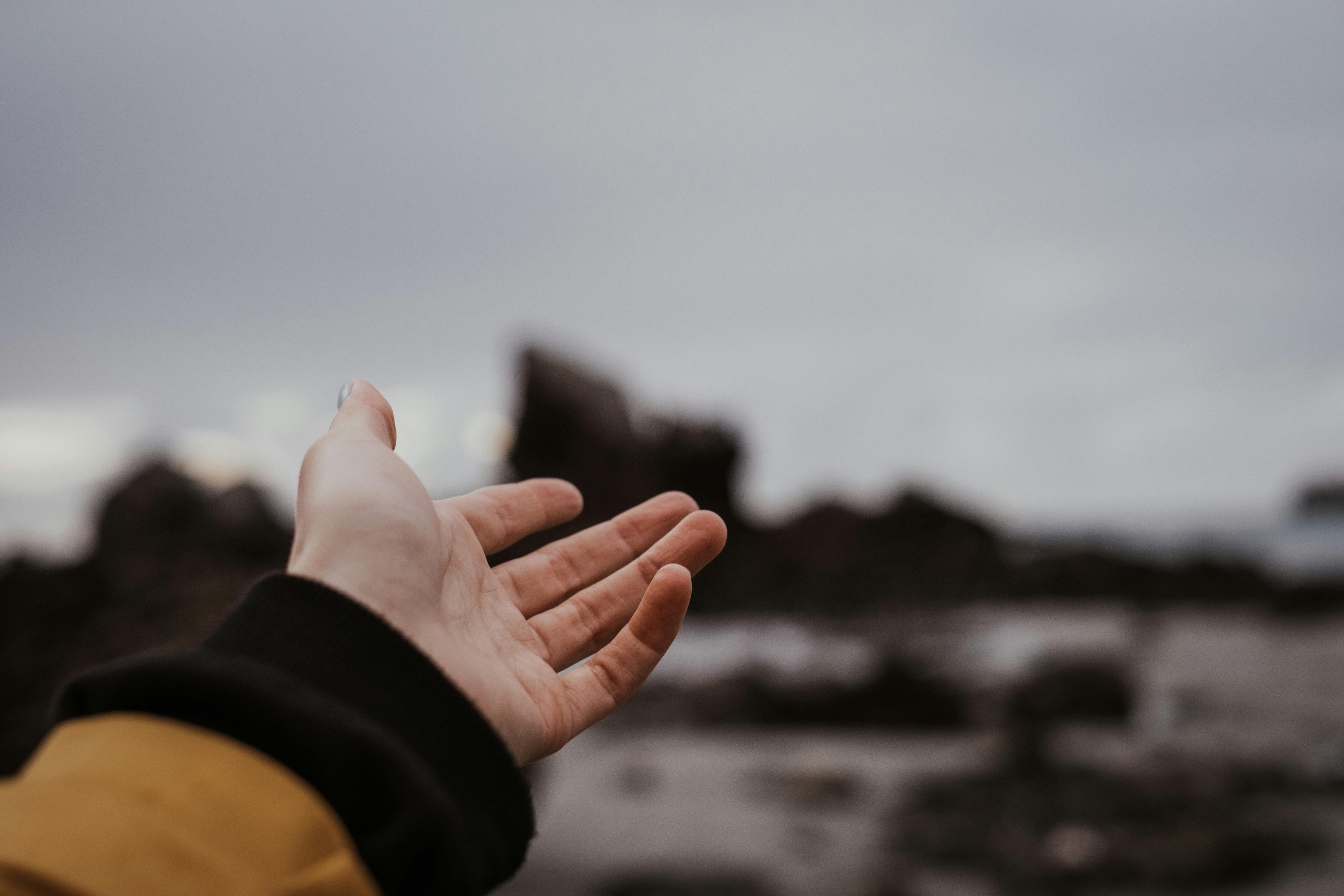 Person in Black Long Sleeve Shirt Showing Left Hand \u00b7 Free Stock Photo