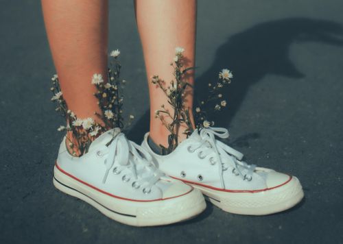 Free White sneakers filled with daisies on an asphalt background, capturing a creative summer vibe. Stock Photo