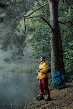 清晨，有人在郁郁葱葱的树林中一条宁静的河上享受雾中徒步